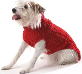 Crochet Dog Coat – Free Pattern